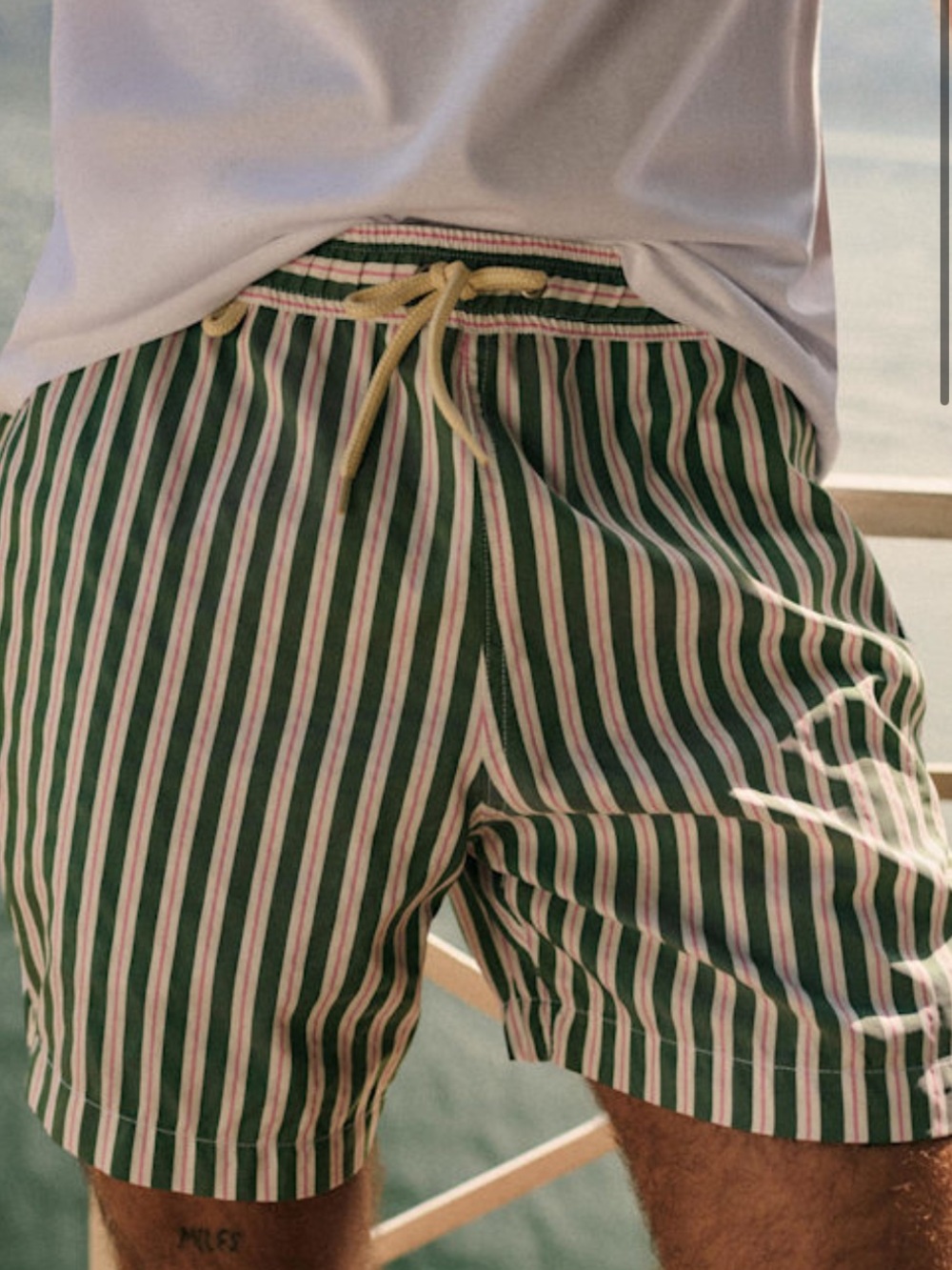 NWT SEZANE ROB SWIM SHORT GREEN STRIPES WHITE/PINK